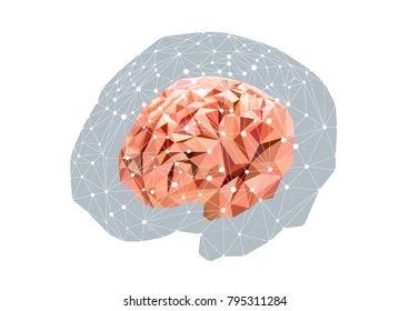Vector concept illustration of anatomical polygonal human brain