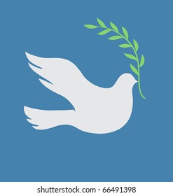 Vector Concept illustration of Beautiful white dove in flight holding an Olive Branch