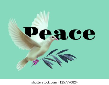 Vector concept illustration of realistic white dove of peace bears olive twig  isolated on background with space for text