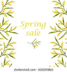 Vector concept of Spring sale flyer with mimosa flower