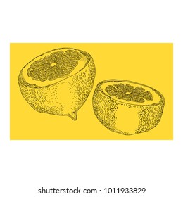 Vector conceptual monochrome illustration with some lemons on yellow. Food, catering, beverage themes, decorative element for different purposes. Prints and textile.