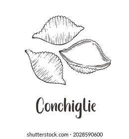 Vector of Conchiglie Pasta hand drawn sketch style. Drawing element design. Used for menu, poster, banner, label, logo or printed t-shirts, etc.