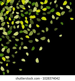 Vector Confetti Background Pattern. Element of design. Colored leaves on a black  background
