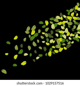 Vector Confetti Background Pattern. Element of design. Colored leaves on a black  background
