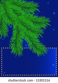 Vector. A conifer under a starry sky.