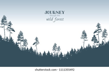 Vector coniferous forest design template with pine trees