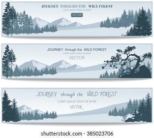 Vector Coniferous Forest design templates