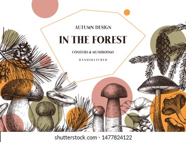 Vector conifers and mushrooms design. Hand drawn autumn forest template. Vintage plants sketches. Perfect for banner, label, icon, packaging. Vintage mushrooms background. Botanical illustration.