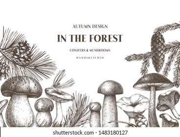 Vector conifers and mushrooms vector design. Hand drawn autumn template. Vintage forest plants sketches. Perfect for recipe, menu, label, icon, packaging.  Botanical outlines illustration.