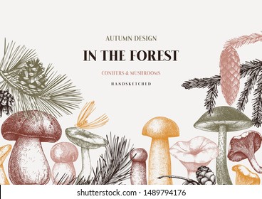 Vector conifers and mushrooms design. Hand drawn autumn forest template. Vintage plants sketches. Perfect for recipe, menu, label,  packaging. Vintage mushrooms background. Botanical illustration.