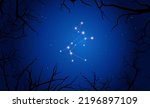 Vector Constellation Canis Major - Illustration of the 88 modern constellation. Canis Major on the background of bare trees. Vector Illustration.