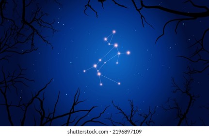 Vector Constellation Canis Major - Illustration of the 88 modern constellation. Canis Major on the background of bare trees. Vector Illustration.