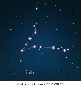 Vector Constellation Pisces - Illustration of the 88 modern constellation. Zodiac sign vector illustration.
