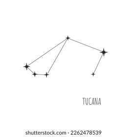 Vector Constellation Tucana on white background. Doodle, sketch, drawn style, set of linear icons of all 88 constellations.