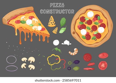 Vector constructor for pizza with a piece of base and a whole one with sauce ingredients and toppings on a gray background