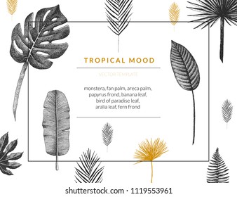 Vector contemporary greeting card with tropical graphics in vintage style. Hand drawn exotic plant template for birthday, business, anniversary, wedding, party invitation, holidays.