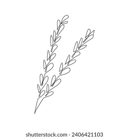 Vector continuous line art drawing of organic healthy food wheat grain for farm logo identity.