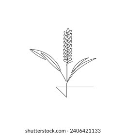 Vector continuous line art drawing of organic healthy food wheat grain for farm logo identity.
