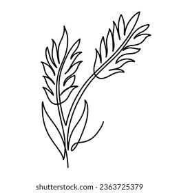 Vector continuous one line Paddy illustration