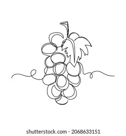 Vector continuous one single line drawing icon of grapes in silhouette on a white background. Linear stylized.