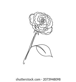 Vector continuous one single line drawing icon of rose flower in silhouette on a white background. Linear stylized.