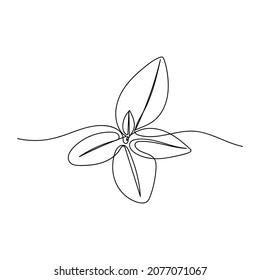 Vector continuous one single line drawing icon of fresh mint leaves in silhouette sketch on white background. Linear stylized.