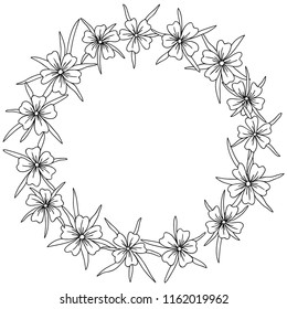 vector contour agrostemma  flowers bud branch bouquet hand drawn sketch coloring book circle round frame border for your design