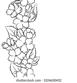 vector contour apple  flower vectical seamless pattern coloring book