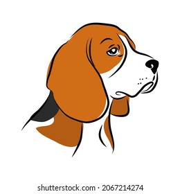 vector contour beagle head, logo purebred pet, white black dog portrait, companion and animal friendship, realistic simple face
