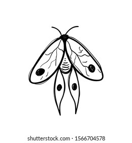 Vector contour black and white hand-drawn illustration of a moth on a white background. Contour insects. Butterfly. Moth.