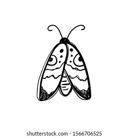 Vector contour black and white hand-drawn illustration of a moth on a white background. Contour insects. Butterfly. Moth.