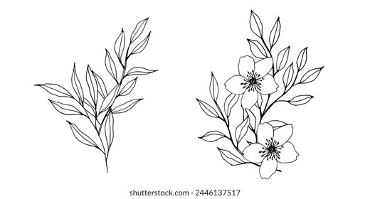 vector contour branch flowers and leaves compositions. Elegant art for decoration. hand drawn monochrome botanical illustration for backgrounds. Template for wedding cards and polygraph, logo, tattoo.