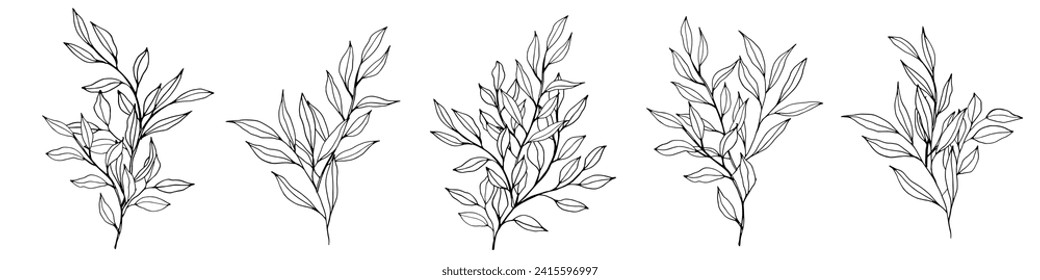 vector contour branch and leaves compositions. Elegant branches for decoration. hand drawing monochrome botanical illustration for backgrounds. Template for wedding cards and polygraph, logo, tattoo.