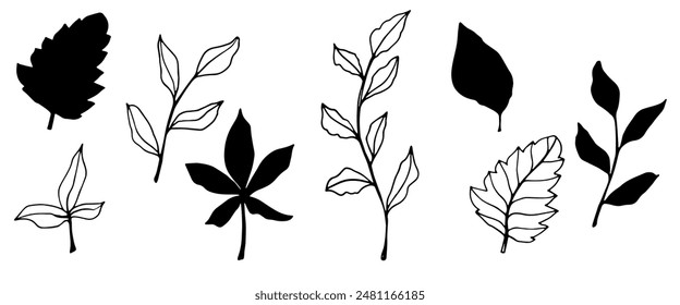 vector contour branch and leaves. Elegant branches. black silhouette and outline element with white background, editable. hand drawn monochrome botanical illustration, wedding cards, logo, tattoo.