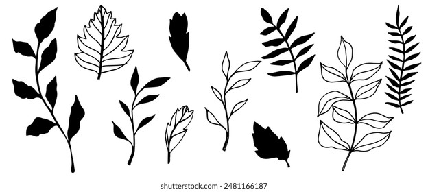 vector contour branch and leaves. Elegant branches. black silhouette and outline element with white background, editable. hand drawn monochrome botanical illustration, wedding cards, logo, tattoo.