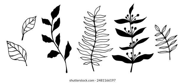 vector contour branch and leaves. Elegant branches. black silhouette and outline element with white background, editable. hand drawn monochrome botanical illustration, wedding cards, logo, tattoo.