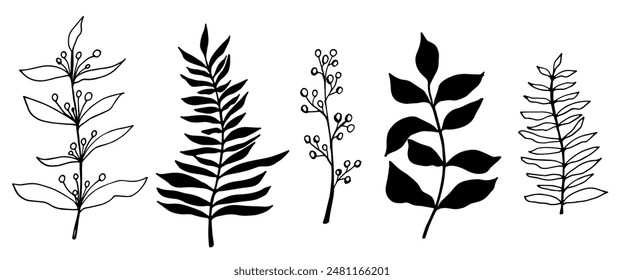 vector contour branch and leaves. Elegant branches. black silhouette and outline element with white background, editable. hand drawn monochrome botanical illustration, wedding cards, logo, tattoo.