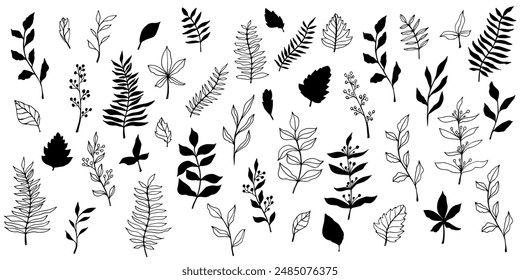 vector contour branch and leaves. Elegant branches. black silhouette and outline element with white background, editable. hand drawn monochrome botanical illustration, wedding cards, logo, tattoo.