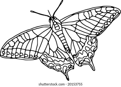 vector - mariposa de contorno aislada en fondo blanco
