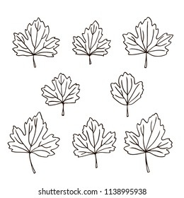 vector contour carved leaf tree element coloring book for your design and text spring summer autumn season