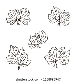 vector contour carved leaf tree elements set coloring book for your design and text spring summer autumn season