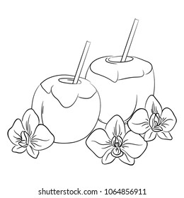 vector contour coconut milk drink cocktail  and exotic orchid flowers coloring page
