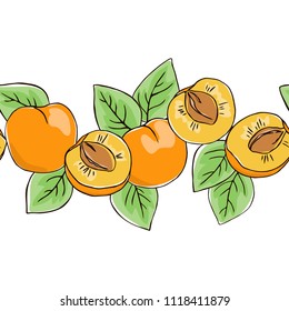 vector contour color apricot fruit whole half slice leaf  illustration on white elements seamless repeating line pattern