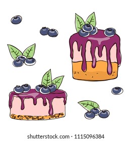 vector contour color blueberry cake sweet dessert on white berries leaf jam food 