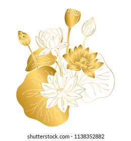 Vector Contour Color Gold White Lotus Asian Flower Symbol Peace On White