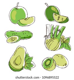 vector contour color green apple fruit lime lemon citrus kiwi fennel cucumber avocado vegetable avocado outlined pattern 