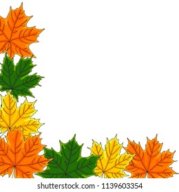 vector contour color green maple tree leaf on white top corner border frame card for your design