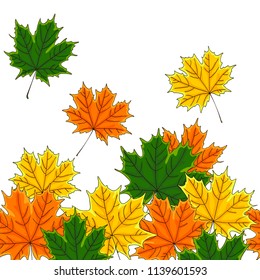 vector contour color green yellow orange autumn fall maple tree leaf on white line seamless frame border card for your design