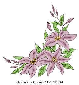 vector contour color lilac clematis lily flowers bud leaf corner border frame card illustration