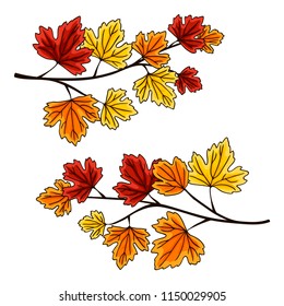 vector contour color orange yellow red carved leaf tree element set pattern for your design  autumn season branch card